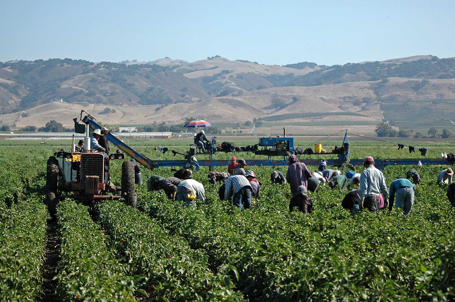 Migrant workers