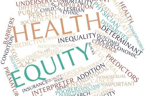 Word cloud of Health Disparities causes and terms